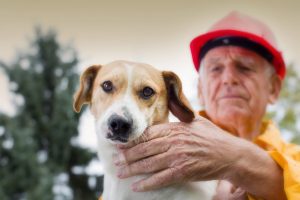 Preparing your pets for bushfire season